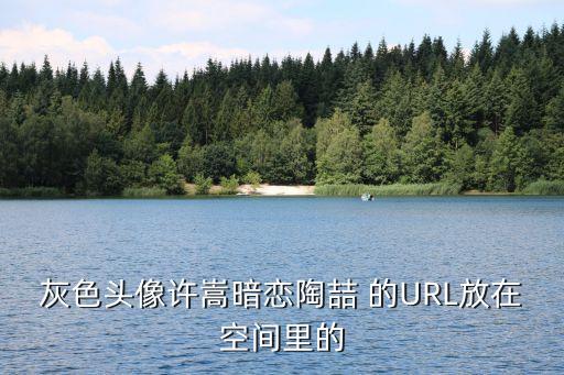 灰色頭像許嵩暗戀陶喆 的URL放在空間里的