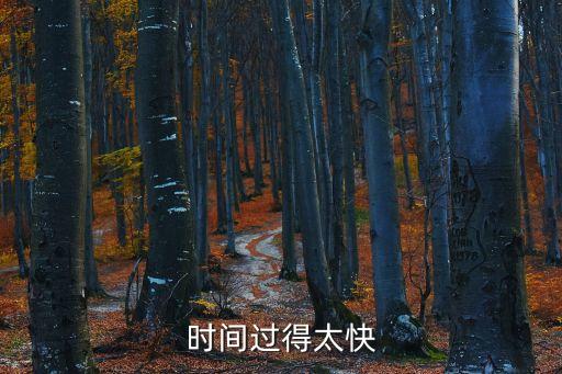 時間過得太快