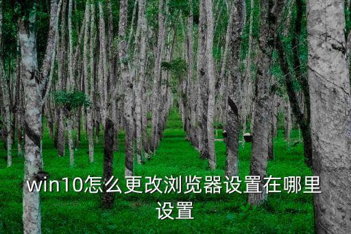 win10怎么更改瀏覽器設(shè)置在哪里設(shè)置
