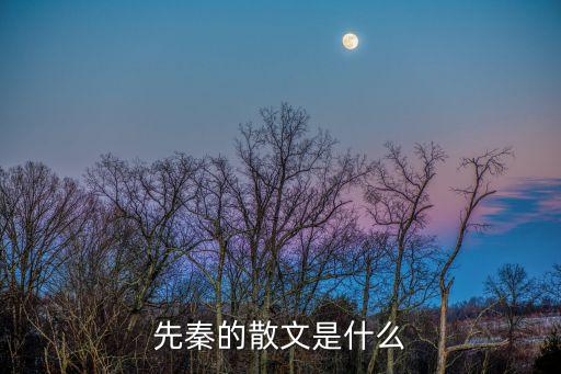 先秦的散文是什么
