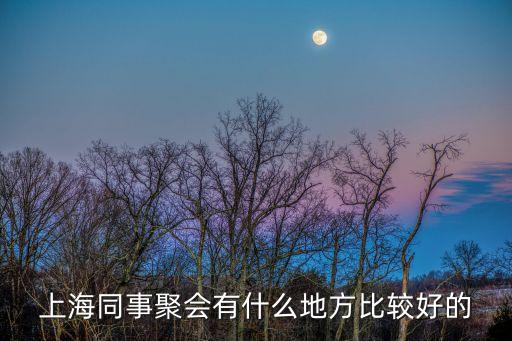 上海同事聚會有什么地方比較好的