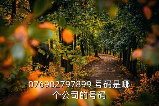 076982797899 號(hào)碼是哪個(gè)公司的號(hào)碼