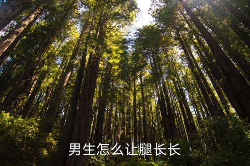 男生怎么讓腿長長