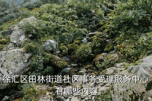 徐匯區田林街道社區事務受理服務中心 有哪些內容