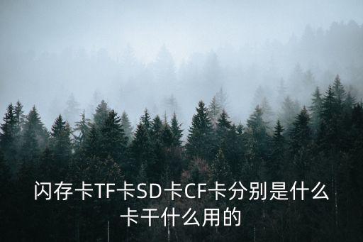 閃存卡TF卡SD卡CF卡分別是什么卡干什么用的