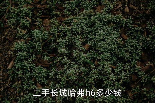 二手長城哈弗h6多少錢