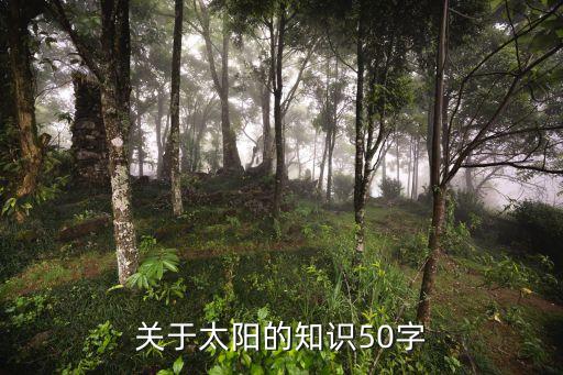 關于太陽的知識50字