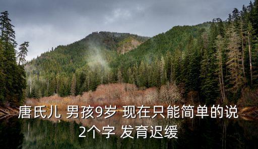 唐氏兒 男孩9歲 現在只能簡單的說2個字 發育遲緩