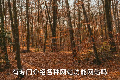有專門介紹各種網(wǎng)站功能網(wǎng)站嗎