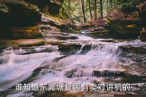 東莞運河影劇院，大家麻煩告訴我一下東莞影劇院在運河下二路那里怎么走