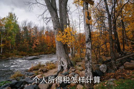 個人所得稅怎樣計算