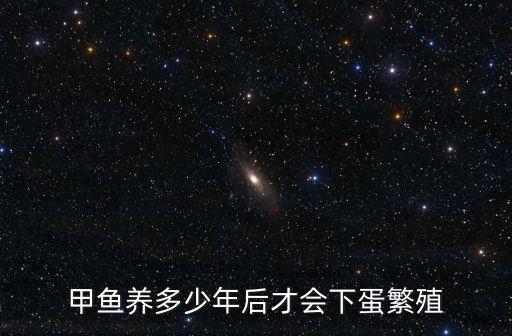 甲魚繁殖，野生甲魚怎么繁殖