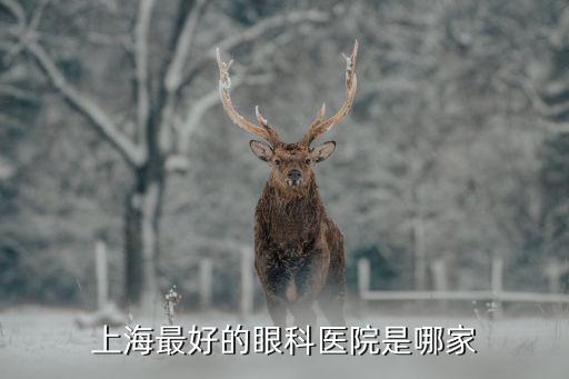 上海市治幻覺好的醫院是哪家，上海治療性病最好的醫院是哪家