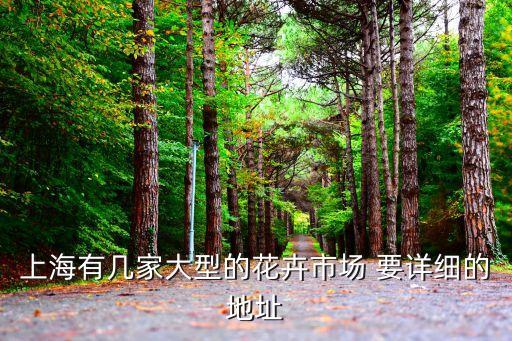 上海市美陳花卉市場(chǎng)地址，上海的花卉市場(chǎng)在哪里花商盟