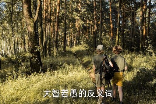 大智若愚的反義詞