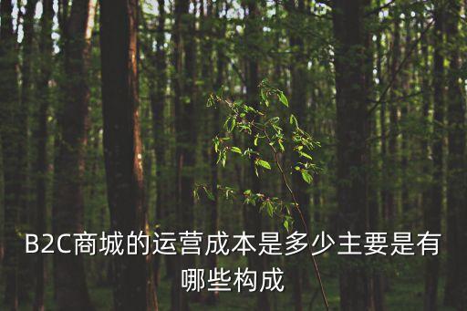 電商運營成本，B2C商城的運營成本是多少主要是有哪些構成