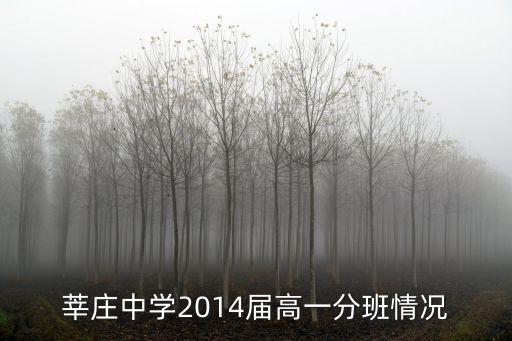 莘莊中學2014屆高一分班情況