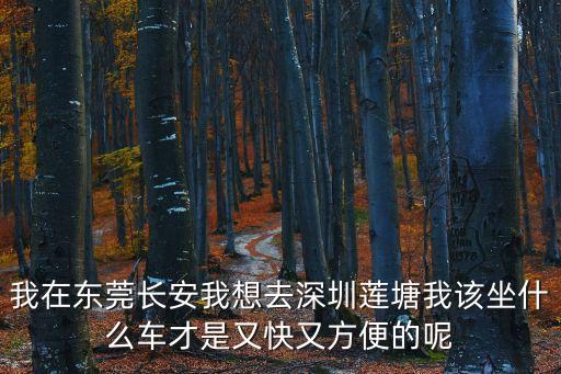 東莞到蓮塘汽車站怎么坐車，我在東莞長安我想去深圳蓮塘我該坐什么車才是又快又方便的呢