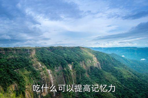 吃什么可以提高記憶力