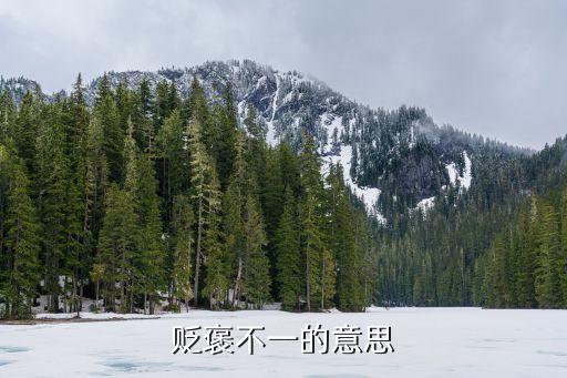 貶褒不一的意思