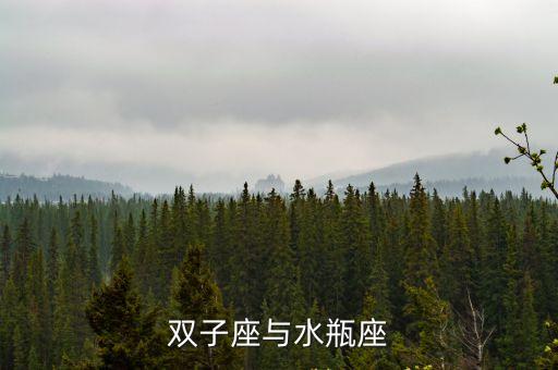 雙子座水瓶座，雙子座與水瓶座