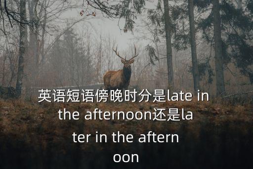 英語短語傍晚時分是late in the afternoon還是later in the afternoon