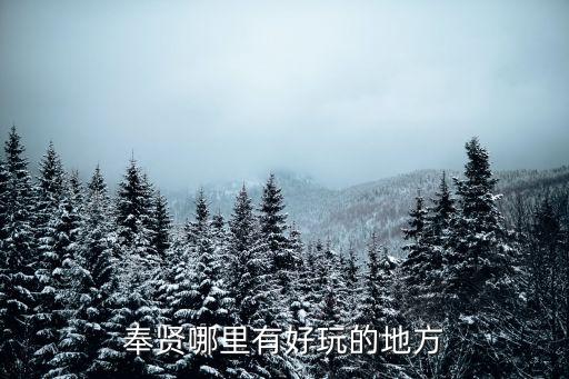 奉賢哪里有好玩的地方