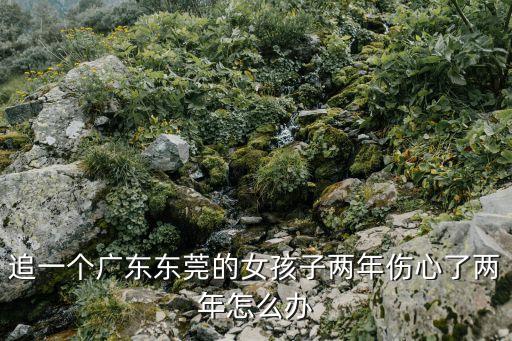 追一個廣東東莞的女孩子兩年傷心了兩年怎么辦