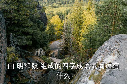 毅的成語，毅決成語是什么