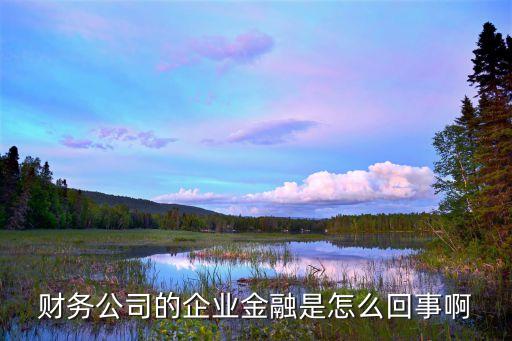 財務公司的企業金融是怎么回事啊