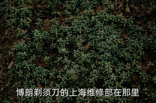 博朗剃須刀的上海維修部在那里