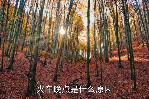 火車(chē)晚點(diǎn)是什么原因
