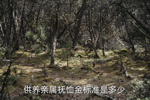 供養親屬撫恤金標準是多少