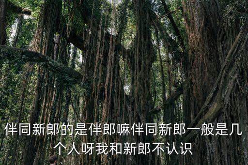 伴同新郎的是伴郎嘛伴同新郎一般是幾個人呀我和新郎不認識