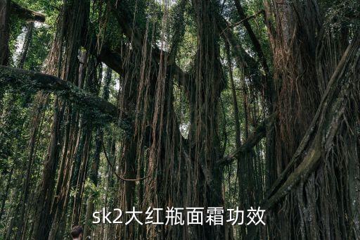 大紅瓶面霜，sk2大紅瓶和小紅瓶區(qū)別 大紅瓶面霜多少錢