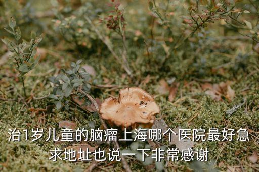 治1歲兒童的腦瘤上海哪個醫院最好急求地址也說一下非常感謝