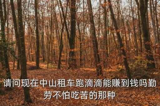 請問現(xiàn)在中山租車跑滴滴能賺到錢嗎勤勞不怕吃苦的那種