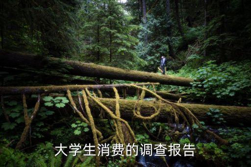 大學(xué)生消費(fèi)調(diào)查報(bào)告，大學(xué)生消費(fèi)的調(diào)查報(bào)告