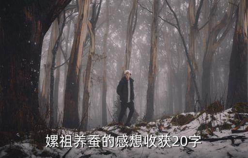 嫘祖養蠶的感想收獲20字