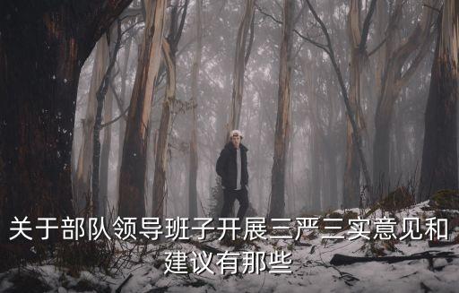 關于部隊領導班子開展三嚴三實意見和建議有那些