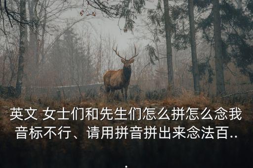 英文 女士們和先生們?cè)趺雌丛趺茨钗乙魳?biāo)不行、請(qǐng)用拼音拼出來念法百...