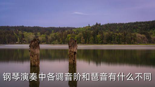 鋼琴演奏中各調音階和琶音有什么不同