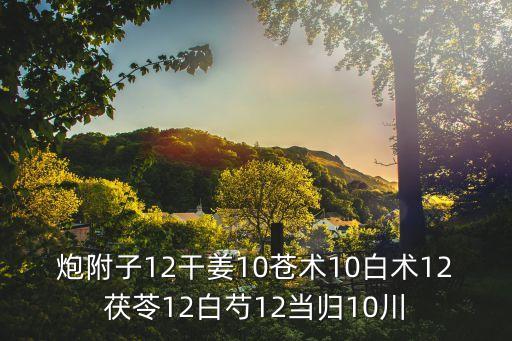 炮附子12干姜10蒼術(shù)10白術(shù)12茯苓12白芍12當(dāng)歸10川