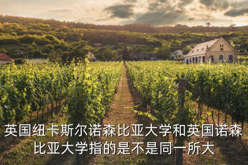 英國紐卡斯爾諾森比亞大學(xué)和英國諾森比亞大學(xué)指的是不是同一所大