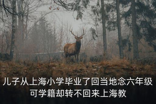 上海市教育教研室主任徐淀芳，上海精銳名師陪讀答疑預(yù)科接軌一線教師執(zhí)教高中生物難點(diǎn)