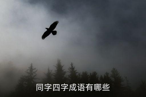 同字四字成語有哪些