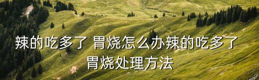 辣的吃多了 胃燒怎么辦辣的吃多了 胃燒處理方法