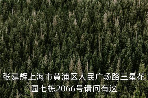 上海市啟東商會(huì)張建輝，有多少人叫張建輝