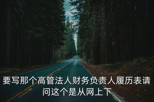 要寫那個高管法人財務負責人履歷表請問這個是從網上下