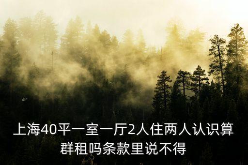 上海40平一室一廳2人住兩人認識算群租嗎條款里說不得
